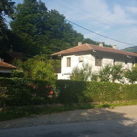 Вила Керенски Ribarica Exteriér fotografie