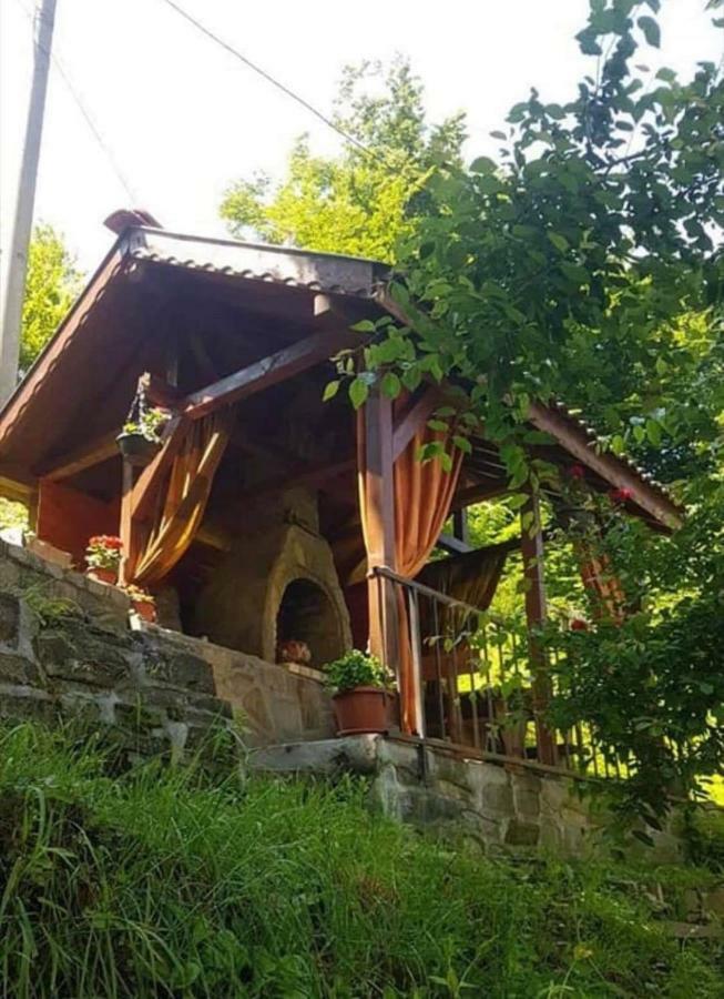 Вила Керенски Ribarica Exteriér fotografie