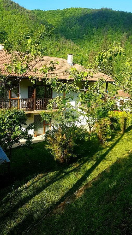 Вила Керенски Ribarica Exteriér fotografie