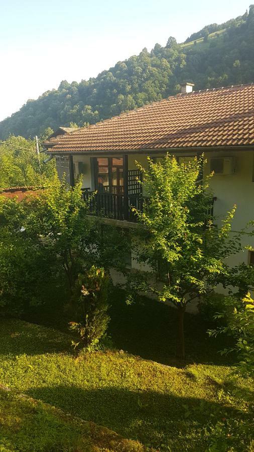 Вила Керенски Ribarica Exteriér fotografie
