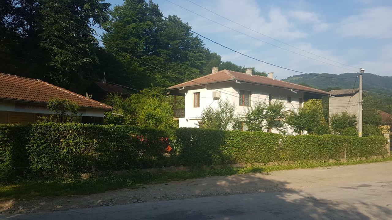 Вила Керенски Ribarica Exteriér fotografie